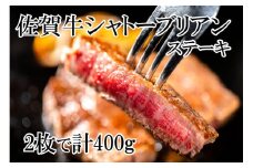DP065_幻の部位！佐賀牛シャトーブリアンステーキ400ｇ(2枚で400ｇ)