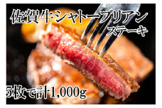 DP067_幻の部位！佐賀牛シャトーブリアンステーキ1㎏(5枚で1㎏)