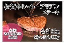 DP069_幻の部位！佐賀牛プレミアム定期便(全6回/隔月お届け・奇数月)佐賀牛シャトーブリアンステーキ１キロ(5枚で1㎏)　総量6㎏