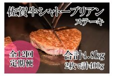 DP070_幻の部位！佐賀牛プレミアム定期便(全12回)佐賀牛シャトーブリアンステーキ400ｇ(2枚で400ｇ)　総量4,8㎏