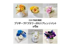 FH022_ 【2か月毎定期便計６回】プリザーブドフラワーのミニアレンジメント
