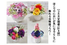 FH024_ 【3か月毎定期便（計４回）】ほこりやにおいが気になるところに飾れる光触媒フラワー
