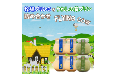CK016_牧場プリン3　うれしの茶プリン詰め合わせ