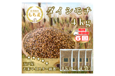 CIC19_【６回定期便】ダイシモチ４ｋｇ もち麦 キラリ もち麦ごはん
