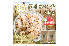 CIB39_【１２回定期便】ダイシモチ２ｋｇ もち麦 キラリ もち麦ごはん