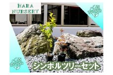 BS180_シンボルツリーセット 花 苗 植物 家庭菜園 花壇 プランター ガーデニング