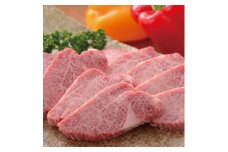 CF007 佐賀牛カルビ焼肉用　500g