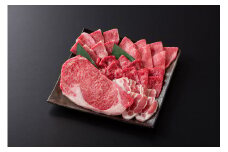 DV087_佐賀県産牛・豚　焼肉セット計550g (5種)