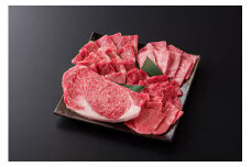 DV088_佐賀県産牛 焼肉セット計550g(5種)
