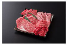 DV089_佐賀県産牛 焼肉セット計700g(6種)