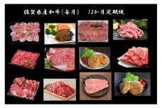 DV224_佐賀牛・佐賀県産和牛（毎月）12か月定期便