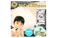 CID13_【がばい！U米(うまい)】≪無洗米≫お徳用５ｋｇ！ （５ｋｇ×１袋）　家庭用　生活応援【訳あり】 おすすめ　人気ブランド　特A銘柄も含む　５ｋｇ以上