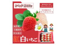 GF001_【2026年12月～4月発送】紅白いちご440g ゆりかーごC2パック