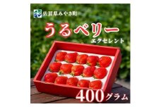 GF003_【2026年12月～4月発送】エクセレント400ｇ