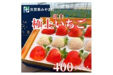 GF006_【2026年12月～4月発送】極上 紅白いちご 400ｇ