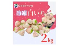 GF008_【2026年6月以降発送】冷凍白いちご２ｋｇ