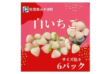 GF011_【2026年12月～4月発送】白いちごサイズ色々6パック