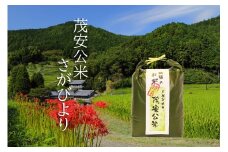 BF029_【令和７年度産新米】 茂安公米 5ｋｇ みやき町産 さがびより【2025年10月中旬過ぎより順次発送】