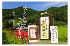 BF030_【令和7年度産新米】茂安公米5kg・みやき町産さがびより 生姜かつお（60ｇ）セット【2025年10月中旬過ぎより順次発送】