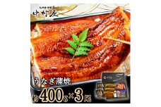 FM071_伝統酵母　うなぎの蒲焼　千栗　400g前後×3尾
