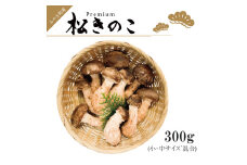 EW013　訳ありお得な高級松きのこサイズ不揃い家庭用300ｇ