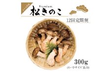 EW016　訳ありお得な高級松きのこサイズ不揃い家庭用300ｇ  年12回コース