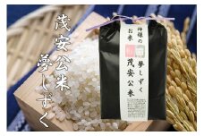 BF031_【令和７年度産新米】 茂安公米 5ｋｇ みやき町産 夢しずく【2025年10月中旬過ぎより順次発送】