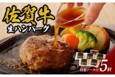【9月配送】丸福　ハンバーグ（5個入り）