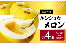 ★予約受付★（2025年5月以降発送）玄海町産キンショウメロン～4個～