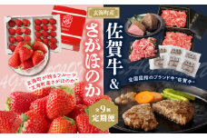玄海町産さがほのか＆佐賀牛定期便【9回】