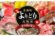 【計9回お届け】玄海町よりどり定期便（梅）
