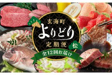 【計12回お届け】玄海町よりどり定期便（松）