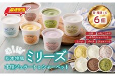 松本牧場ミリーズ 本格ジェラート（6個）全6種類 生乳 アイス カップサイズ 贅沢 ジェラート デザート スイーツ アイスクリーム 菓子 ６個 セット ミルク いちごミルク 抹茶 バニラ チョコ みかんシャーベット 佐賀県 玄海町
