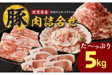 佐賀県産豚肉（肥前さくらポーク）詰合せギフトセット　合計5kg！