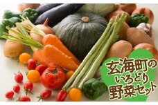 いろどり野菜セット 野菜詰め合わせ 旬の野菜6～9品 新鮮野菜 野菜 野菜セット 詰め合わせ 玄海町産