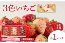 ★予約受付★杉山いちご農園 豪華！3色いちご食べ比べセット　2026年1月～5月中に順次配送