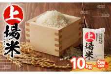 上場米こしひかり定期便（10kg×6ヶ月）／ コシヒカリ こしひかり 米 お米 精米 白米 ご飯 棚田 上場米 数量限定 佐賀県 玄海町 常温 送料無料