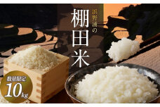 浜野浦の棚田米 10kg ／ 米 お米 精米 白米 新米 ご飯 棚田 産地直送 数量限定 佐賀県 玄海町 常温 送料無料