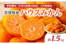 ★予約受付★【2025年6月以降配送】佐賀県産ハウスみかん 約1.5kg【件数限定】 佐賀県産 ハウスみかん ハウスミカン みかん 蜜柑 ミカン フルーツ 果物