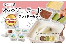 【お好みのフレーバー選べます！】松本牧場　本格ジェラートファミリーセット（500ml×4個　計2L）選べる 全6種類  生乳 アイス 業務用 贅沢 ジェラート デザート スイーツ アイスクリーム 菓子 ４個 セット ミルク いちごミルク 抹茶 バニラ チョコ みかんシャーベット 佐賀県 玄海町
