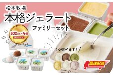 【お好みのフレーバー選べます！】松本牧場　本格ジェラートファミリーセット（500ml×4個　計2L）選べる 全6種類  生乳 アイス 業務用 贅沢 ジェラート デザート スイーツ アイスクリーム 菓子 ４個 セット ミルク いちごミルク 抹茶 バニラ チョコ みかんシャーベット 佐賀県 玄海町