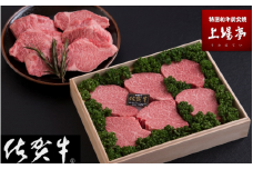 佐賀牛シャトーブリアン＆フィレ（約2.9kg）