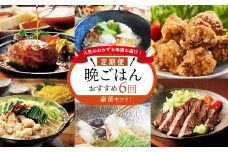 人気のおかずを毎週お届け！便利な晩ごはん定期便【全6回配送】