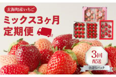 ★予約受付★杉山いちご農園 玄海町産いちご ミックス定期便