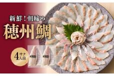 【10月配送】朝締め穂州鯛～お刺身や鯛しゃぶに～　サク4人前