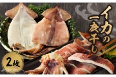 マキ屋　イカの一夜干し（2枚入り）