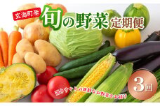 玄海町産　旬の野菜定期便　3か月