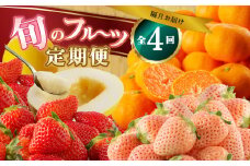 旬のフルーツ定期便（4回）