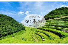 浜野浦の棚田　守る米づくり「守りびと」プラン