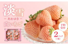 ★予約受付★杉山いちご農園 白いちご「淡雪（あわゆき）」2026年1月～5月までに順次配送 ／ 淡雪 白いちご 白イチゴ 苺 いちご 希少 品種 果物 フルーツ 甘い 旬 果実 農産物 国産 数量限定 期間限定 先行予約 予約受付 佐賀県 玄海町 冷蔵 送料無料